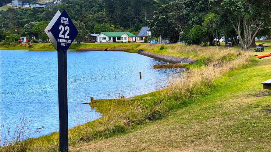 Whangamatajust surf? Where 2 Next NZ? Estuary